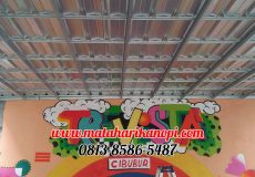 Hasil Pemasangan Kanopi Baja Ringan Atap Spandek di Perum Tre Vista, Radar Auri, Mekarsari, Cimanggis, Cibubur, Depok, Jakakrta Timur