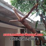 kanopi baja ringan atap alderon sunpanel elegan plus cat putih di CInere Agung Residence