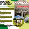 PROMO DISKON GAJIAN SALE 66 SPESIAL HARI RAYA IDUL ADHA 1446H - QURBAN 2025