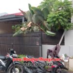 Hasil Pemasangan Kanopi Baja Ringan Atap Spandek Ekonomis di Perum PGRI Cilodong Depok